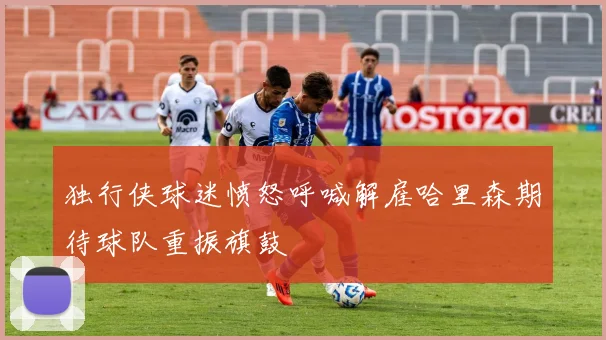 独行侠球迷愤怒呼喊解雇哈里森期待球队重振旗鼓