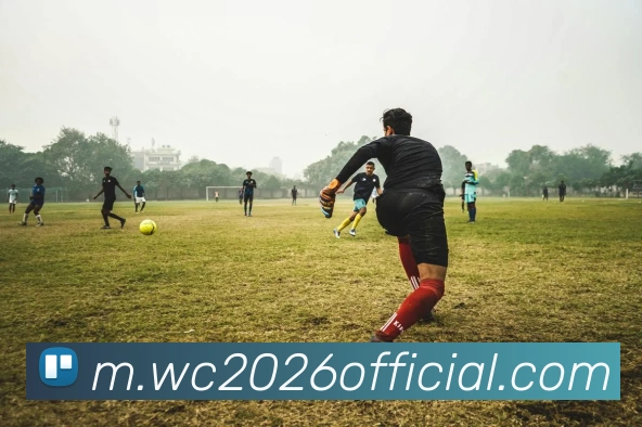 多媒体互动体验